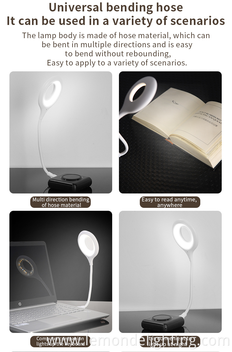 Portable Book Light